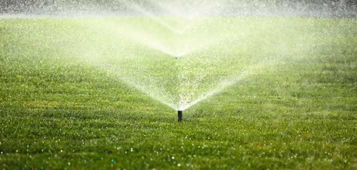 Mister sprinklers watering nice green lawn